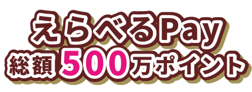 えらべるPay総額500万ポイント